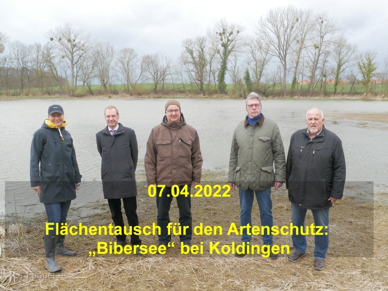 2022/20220407 Koldingen Biber/index.html